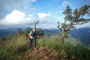 BIB: 
                            <button type="button" onclick="openModal(22373606)" class="btn btn-primary btn-sm float-right btn-popup" data-toggle="modal" data-target=".modal-high-quality">
                        <i class="fas fa-shopping-cart"></i> Add to Cart
                    </button>
                                            <button type="button" onclick="isThisMe(22373606, true)" class="btn btn-success btn-sm float-right btn-popup btn-isme hidden" data-toggle="tooltip" data-placement="bottom" title="นี่คือรูปของคุณใช่ไหม คลิกที่นี่เพื่อเอาเข้าอัลบั้ม">
                        <i class="fas fa-plus"></i> Add to album
                    </button>
                    <button type="button" onclick="isThisMe(22373606, false)" class="btn btn-warning btn-sm float-right btn-popup btn-isnotme hidden">
                        <i class="fas fa-ban"></i> Remove from album
                    </button>